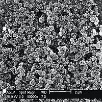 Rasterelektronenmikroskopische Aufnahme einer Zeolith-A-Schicht auf Aluminiumfolie